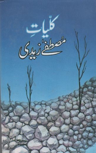 kuliyat mustafa zaidii